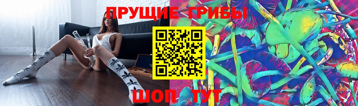 Псилоцибиновые грибы Psilocybe  Вход с VPN  Шелехов  Галлюциногенные грибы Psilocybine cubensis 